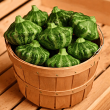 Pâtisson Green Lightning F1 (<em>Cucurbita pepo</em>)