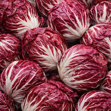 Chicorée ‘Palla Rossa’ (<em>Cichorium intybus</em>)