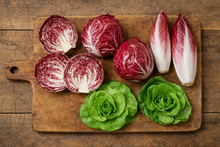 Chicory 'Radicchio Palla Rossa 2 Winter'