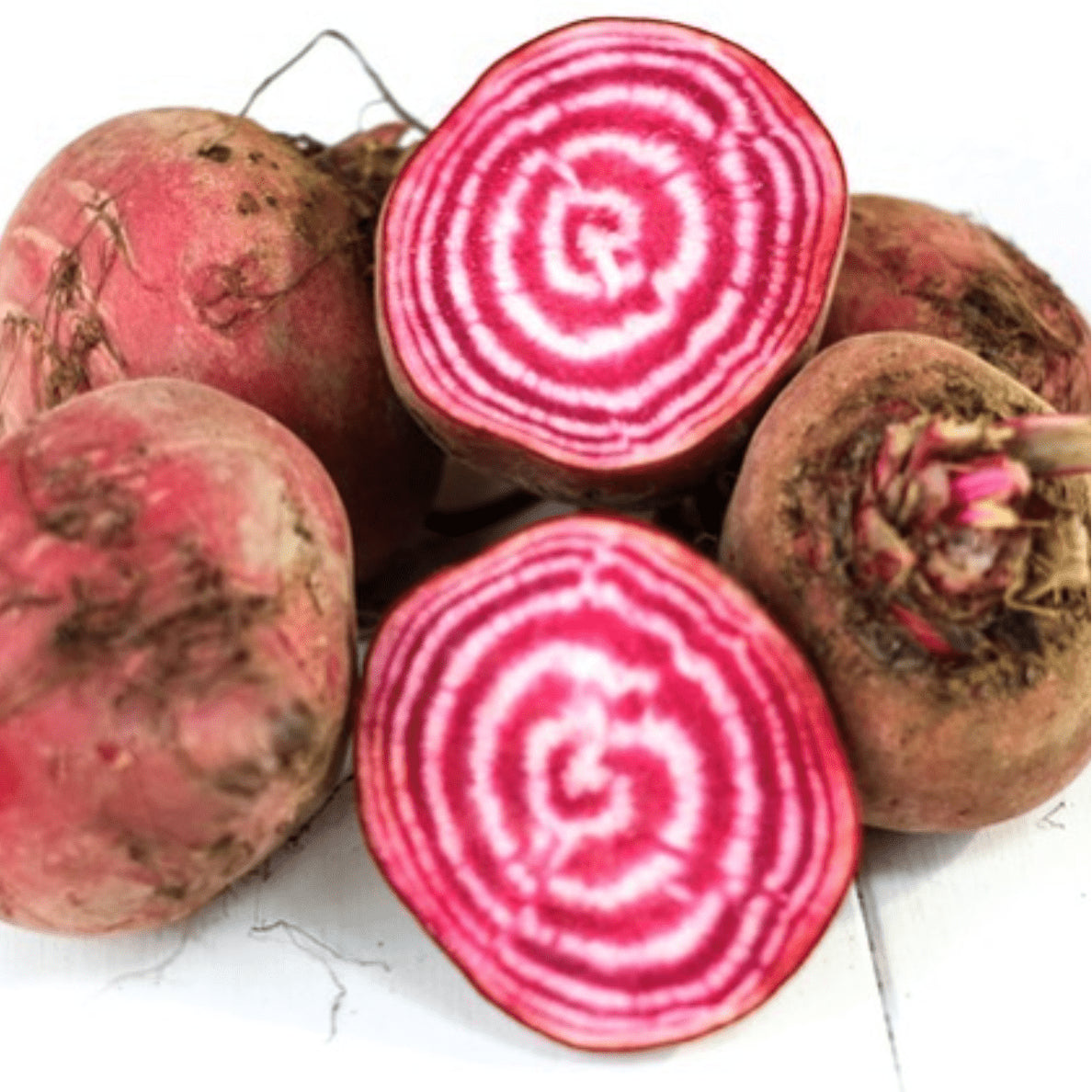 Organic 'Chioggia Guardsmark' beetroot