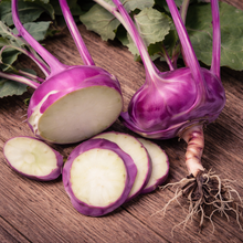 Organic 'Azur Star' kohlrabi