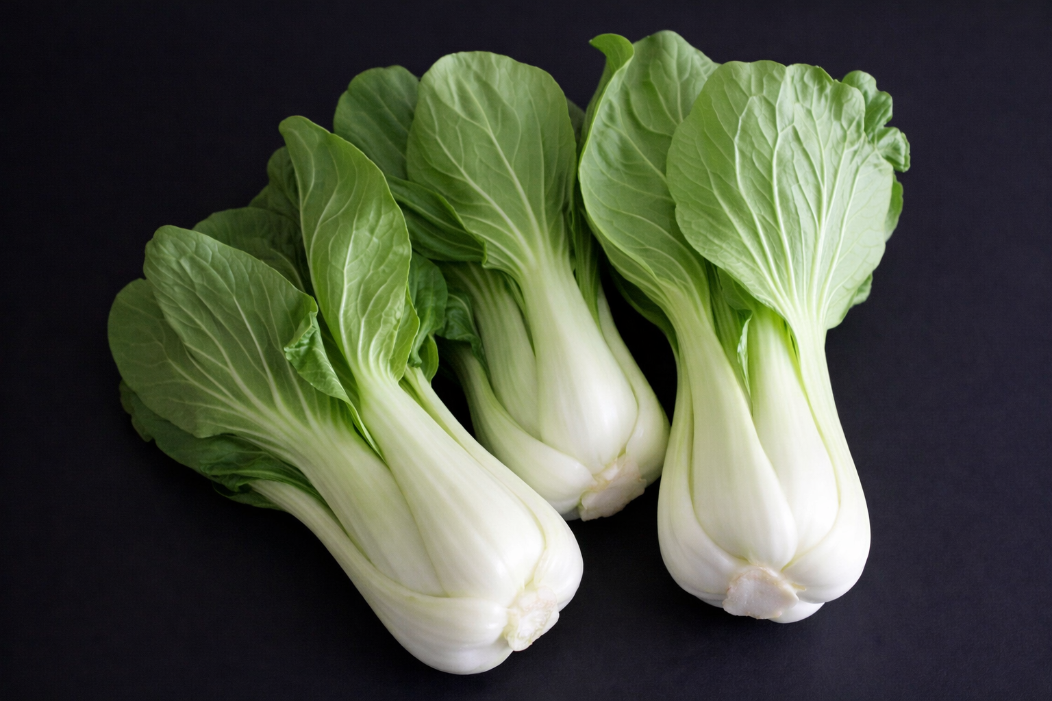 Chou chinois 'Bok Choy'