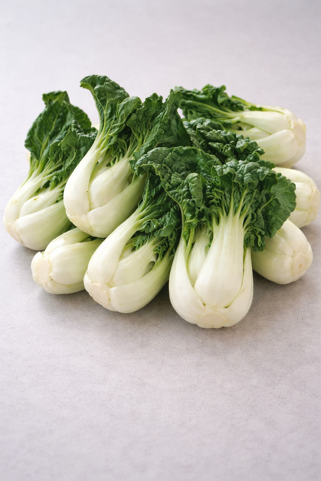 Cabbage 'Toy Choi'