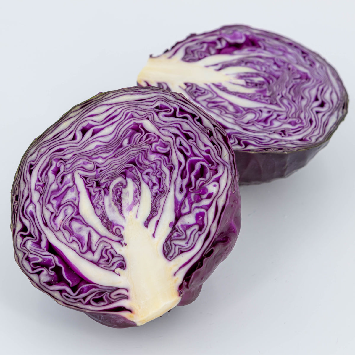 Cabbage Klimaro Red F1