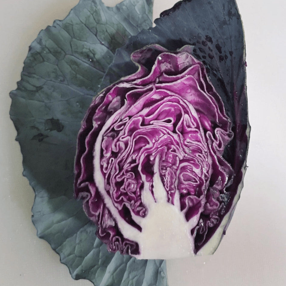 Organic Late-Mature Cabbage 'Mammoth Red Rock'