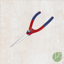 Razorsharp wishbone handle shears