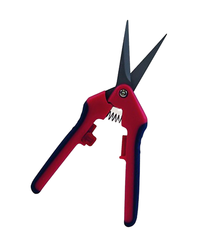 Cisailles de précision Razorsharp — photo sur fond blanc