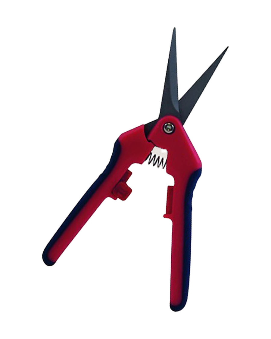 Cisailles de précision Razorsharp — photo sur fond blanc