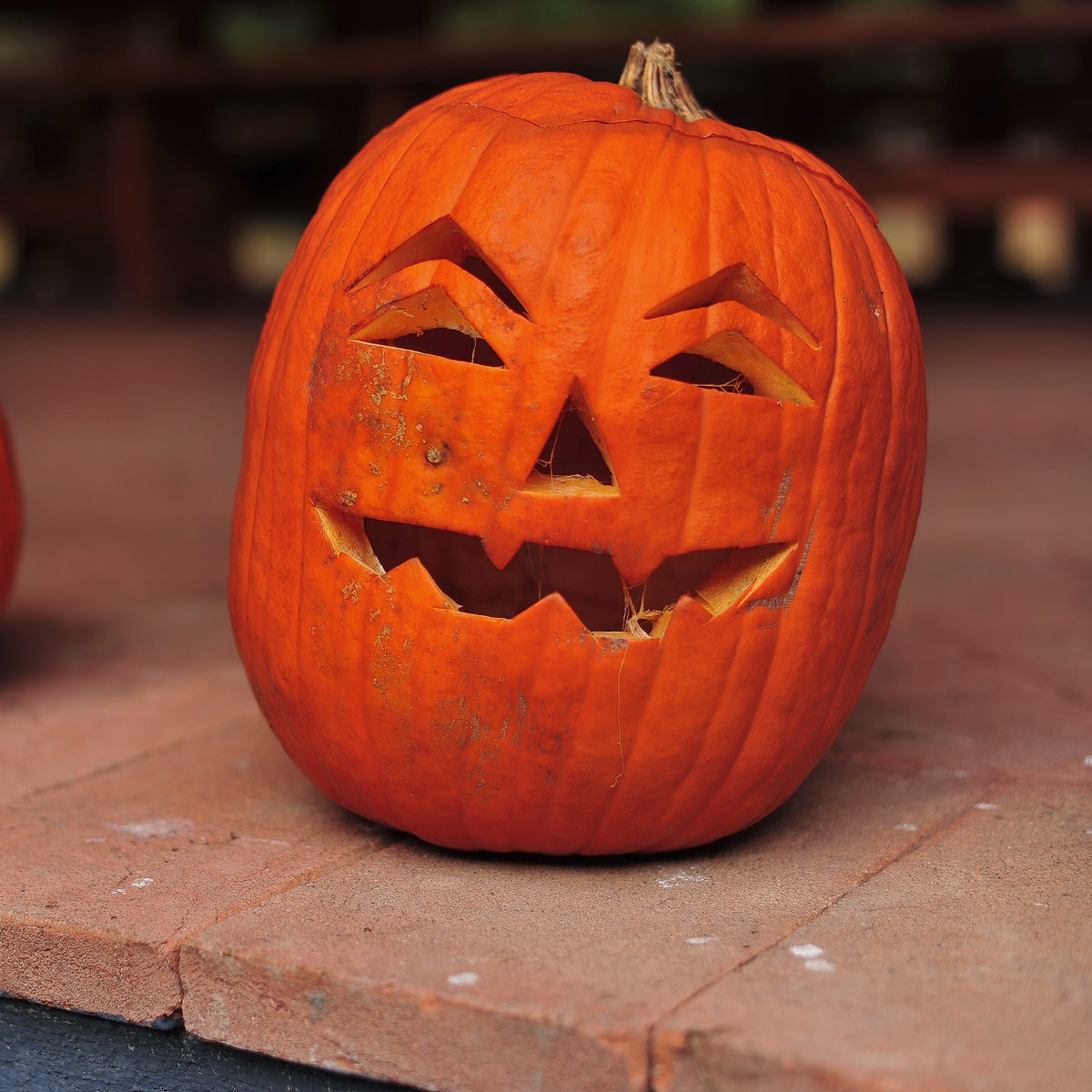 Citrouille à lanterne 'Jack O'Lantern'