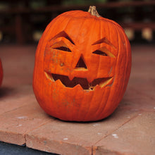Citrouille à lanterne 'Jack O'Lantern'