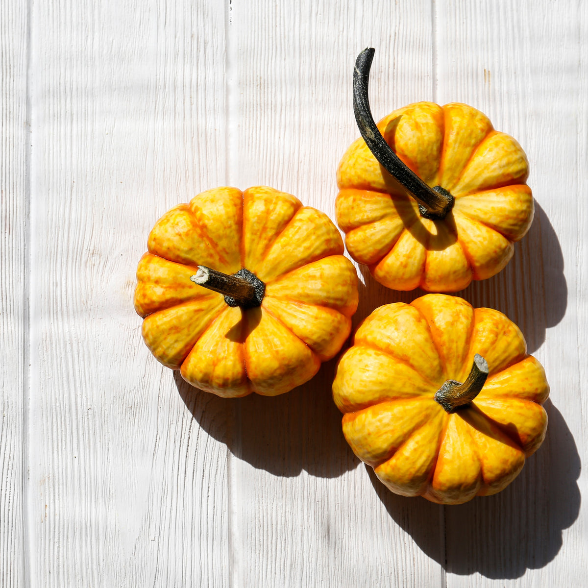 Miniature 'Hooligan' Pumpkin