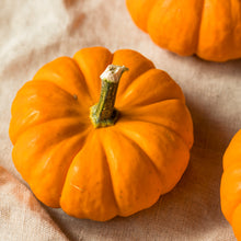 Miniature 'Jack Be Little' Pumpkin