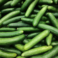 Lebanese cucumber