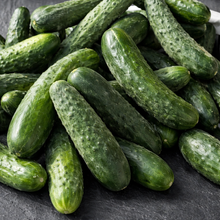 Marketmore Cucumber 76