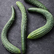 Organic 'Suyo Long' Cucumber
