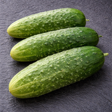 Organic 'Wisconsin SMR58' Cucumber