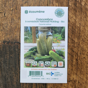 Gherkin Cucumber 'National Pickling' organic