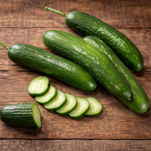 Concombre libanais ‘Super Zagross’ (<em>Cucumis sativus</em>)