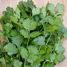 Organic 'Caribbean' Coriander