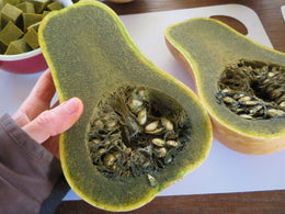 'Ayote' Green Squash