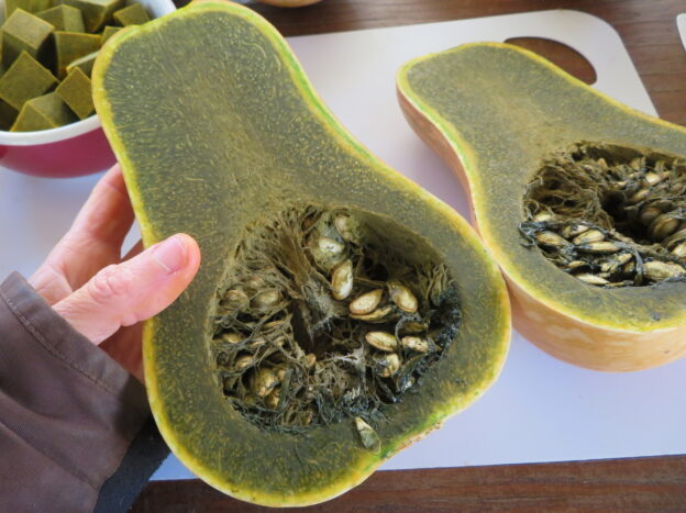 'Ayote' Green Squash