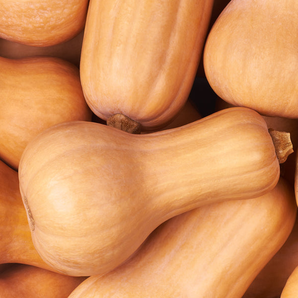 Squash 'Brûlée Butternut'