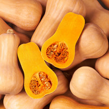 Courge 'Butternut Havana' F1 bio