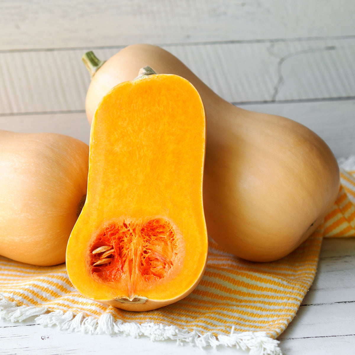 Courge d'hiver 'Butternut' bio