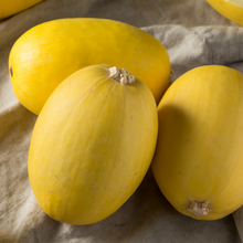 Courge Spaghetti