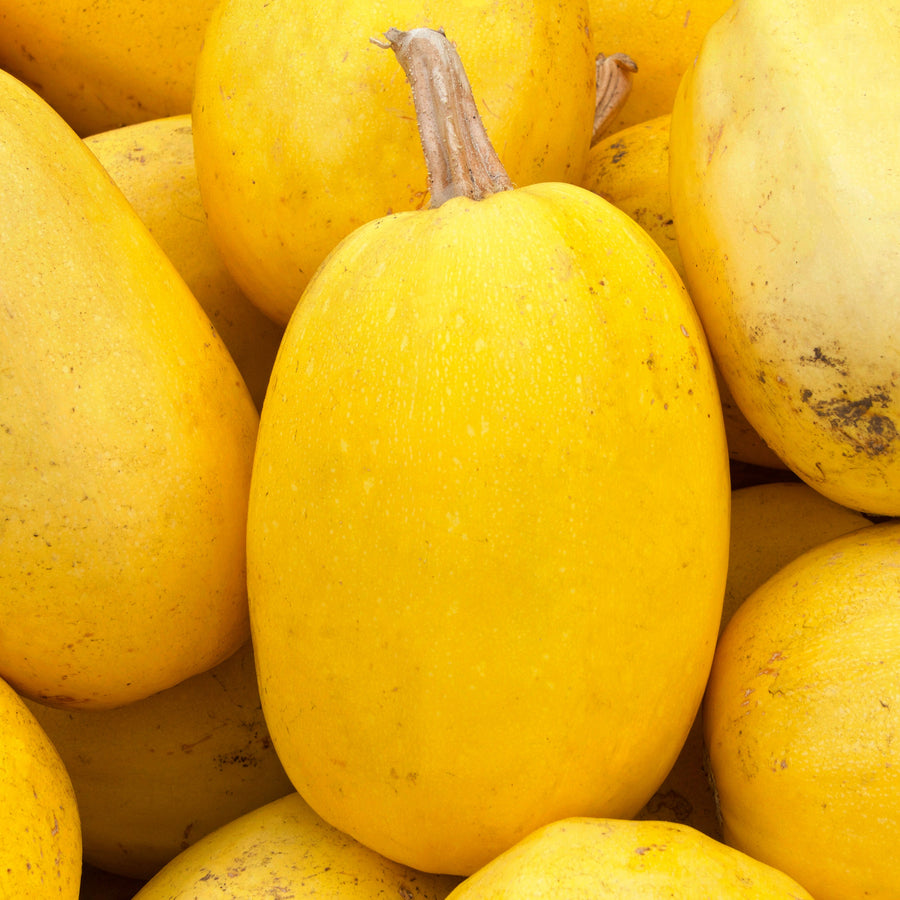 Spaghetti Squash 