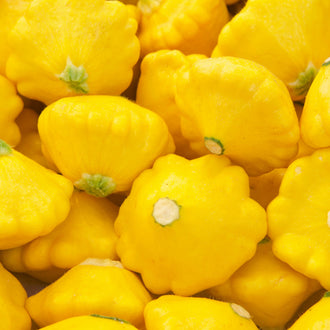 Photo de Pâtisson 'Sunny Delight' F1. Pâtisson 'Sunny Delight' F1 (Cucurbita pepo) est une courge d'été hybride très hâtive qui produit en abondance des fruits jaune vif, ronds, aplatis et festonnés. La couleur caractéristique est : jaune vif. Les fruits présentent cette forme : ronde, plat. Le visuel permet d'observer les contours, les teintes et la disposition des éléments présentés.
