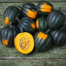 Organic 'Table Queen' Squash