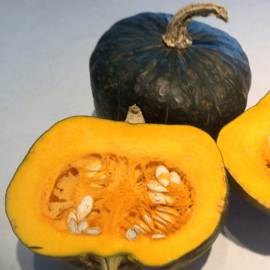 Organic buttercup squash 'Burgess Buttercup'