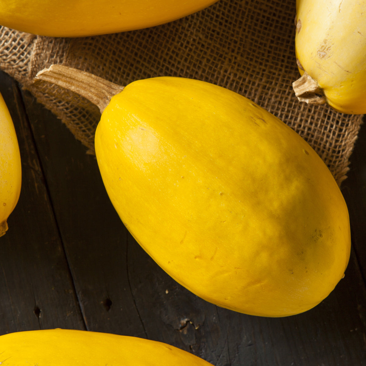 'Spaghetti' Summer Squash