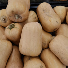 Courge d'hiver 'Honey Baby'