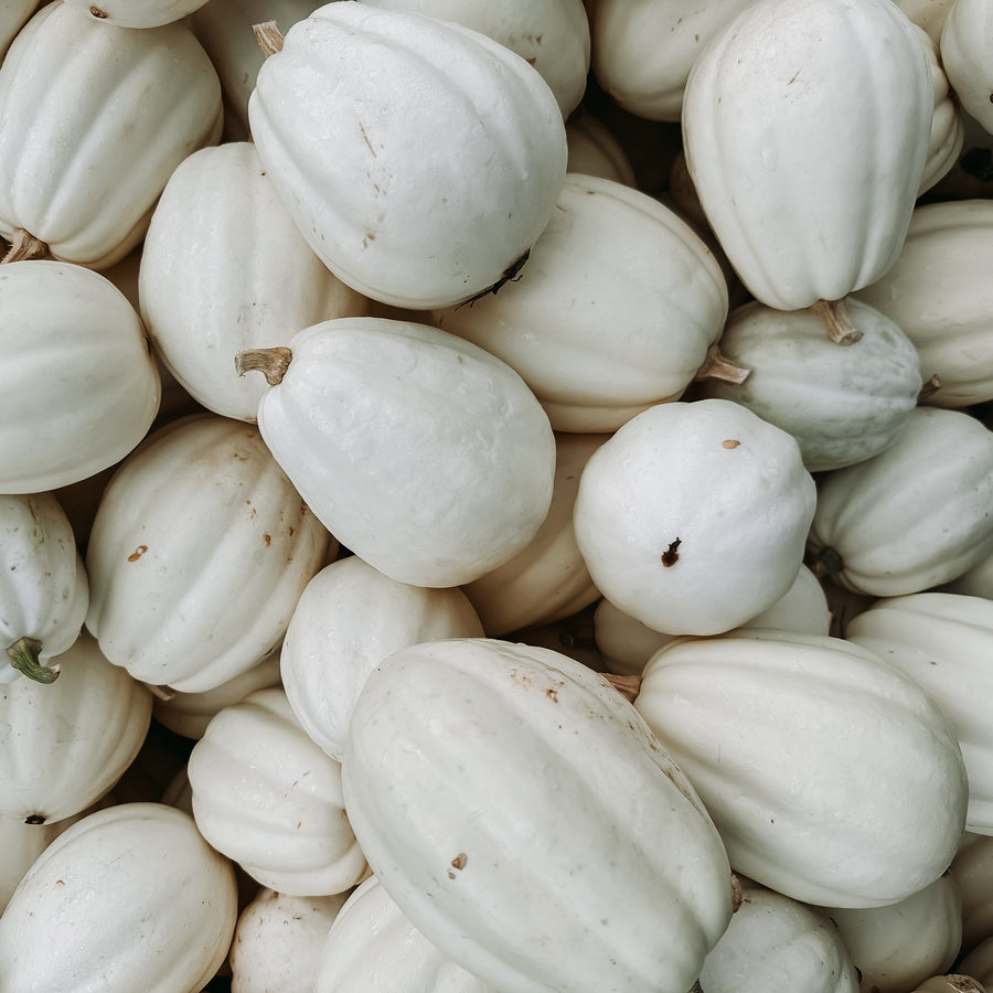 Courge d'hiver 'Mashed Potatoes'