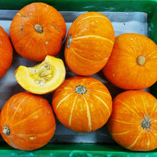 Winter squash 'Sunshine F1'