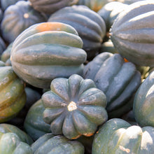 Courge d'hiver 'Table King'