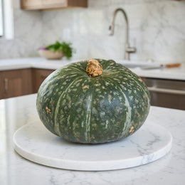 Winter squash 'Kurihomare Kabocha'