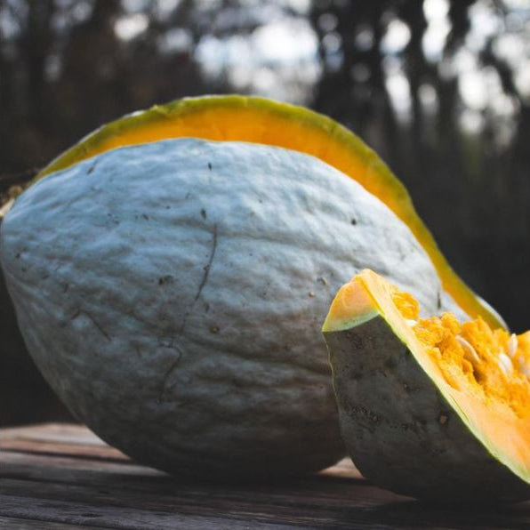 Organic 'Blue Hubbard' squash