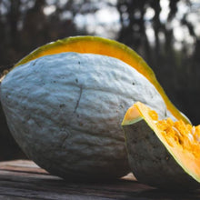 Organic 'Blue Hubbard' squash