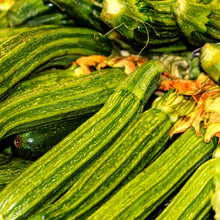 Squash 'Costata Romanesco'