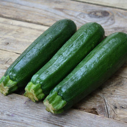 Organic Zucchini 'Dark Green'