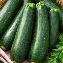 Zucchini 'Fordhook' bio
