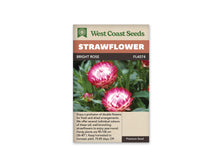 Le sachet West Coast Seeds présente deux grandes immortelles en forme de coupe. Les bractées externes sont rose vif et deviennent plus pâles vers le centre encore fermé. Des feuilles vertes étroites entourent les tiges, avec un petit bouton dans la partie inférieure de l'image. Le bandeau porte le nom Bright Rose et la référence FL4074.