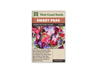 Sachet West Coast Seeds Striped Butterfly Blend avec un ensemble de fleurs de pois de senteur de plusieurs couleurs. Des corolles roses, rouges, violettes, bleutées et blanches se côtoient sur la photo. Les pétales larges se chevauchent au-dessus de fines tiges vertes. Le fond clair met en évidence les différences de teinte entre les fleurs.