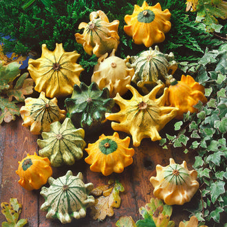 Des gourdes jaunes, orange et vert gris sont étalées sur une surface de bois brun. Leurs formes aplaties portent de longs lobes pointus qui rayonnent autour des centres. Certaines peaux présentent des bandes vertes ou de petits reliefs. Des feuilles lobées passent sur les côtés, laissant la texture du bois visible entre les fruits regroupés au premier plan.