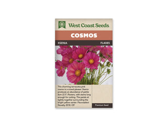 Sachet Xsenia de West Coast Seeds sur fond blanc. Plusieurs fleurs roses aux nuances de terre cuite montrent des pétales larges et rapprochés autour de centres jaunes. Des tiges vertes et des boutons remplissent la photo sur un fond clair. Le bandeau orangé indique Cosmos; Xsenia et la référence FL4085 figurent dans la bande brune.