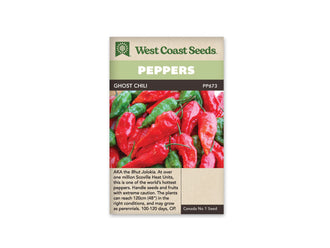 Sachet Ghost Chili de West Coast Seeds, portant une bande verte et le nom en noir. La photo montre un groupe de piments rouges allongés, à la peau ridée, avec des queues vertes. Des parties vertes apparaissent entre les fruits. Le bas du sachet comporte une zone beige avec plusieurs lignes de texte.