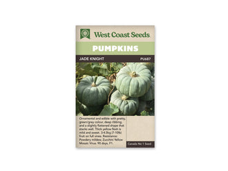Sachet Jade Knight de West Coast Seeds avec un bandeau vert pâle et le nom sur fond sombre. La photo montre plusieurs citrouilles vert gris aux côtes profondes, regroupées parmi des feuilles et des tiges. Un fruit repose sur un autre à droite. Une zone beige portant du texte se trouve sous la photo.